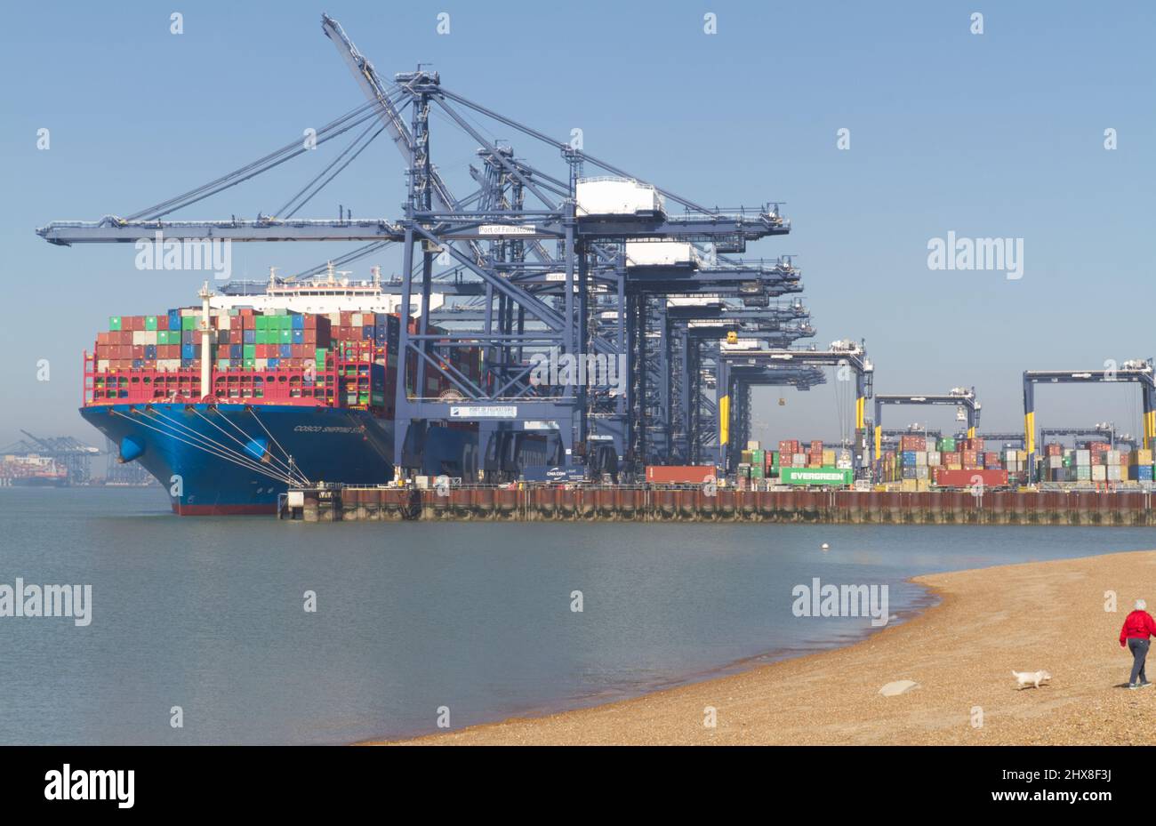 Port of Felixstowe in Suffolk with the container ship 'Cosco shipping star' in dock. Felixstowe is part of Freeport East, a hub for global trade Stock Photo