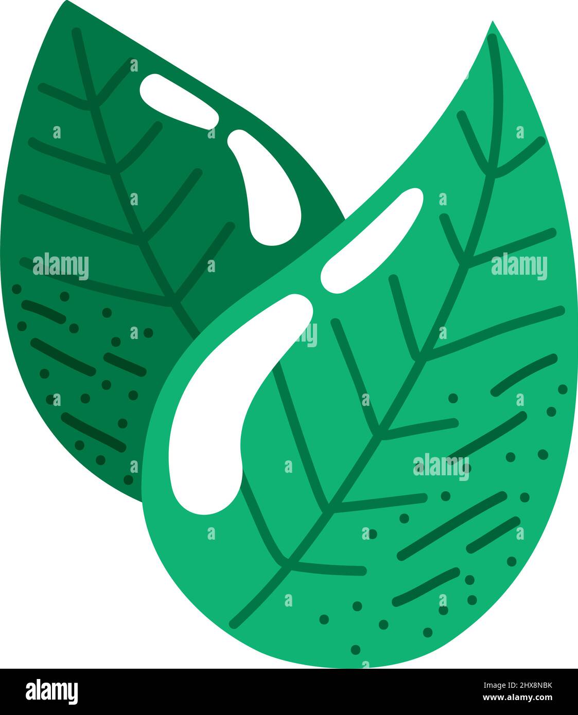 ecology leafs plant nature icon Stock Vector Image & Art - Alamy
