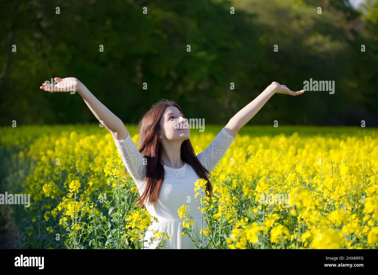relaxed young girl in a yellow rape field Stock Photo