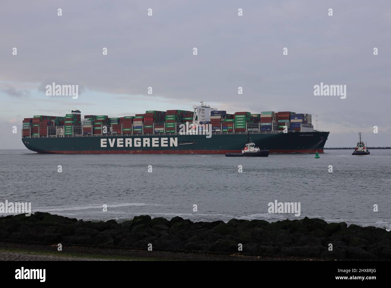 The container ship Ever Gentle will reach the port of Rotterdam on the evening of November 14, 2021. Stock Photo
