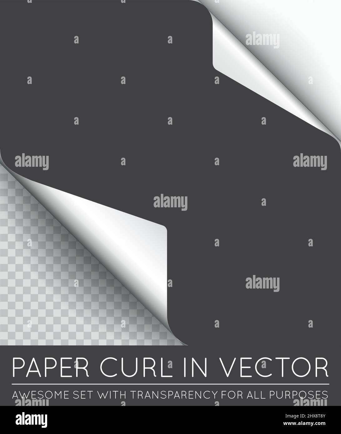 Vector Paper Page Curl with Shadow Isolated. Stock Vector