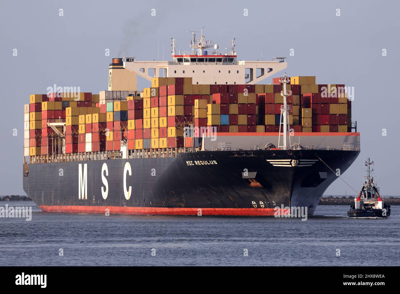 The container ship MSC Regulus arrives in the port of Rotterdam on January 30, 2022. Stock Photo