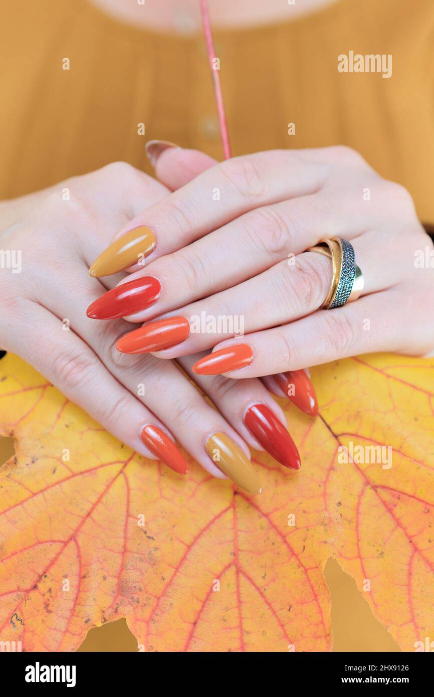 Female beautiful hand with long nails and a yellow orange nail polish and  autumn maple leaves Stock Photo - Alamy