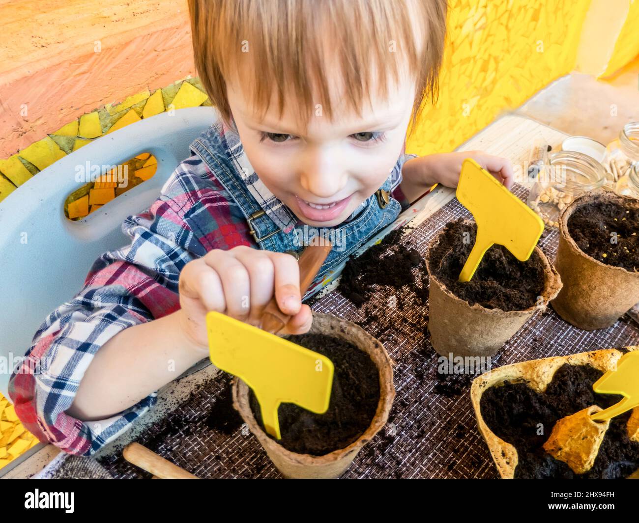 family hobby and time together home garden care. Planting seed in peat