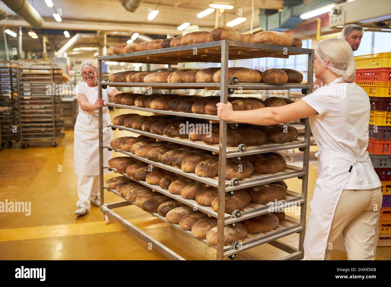 Baker team pushes shelf trolley with lots of fresh loaves of bread in baking factory or big bakery Stock Photo