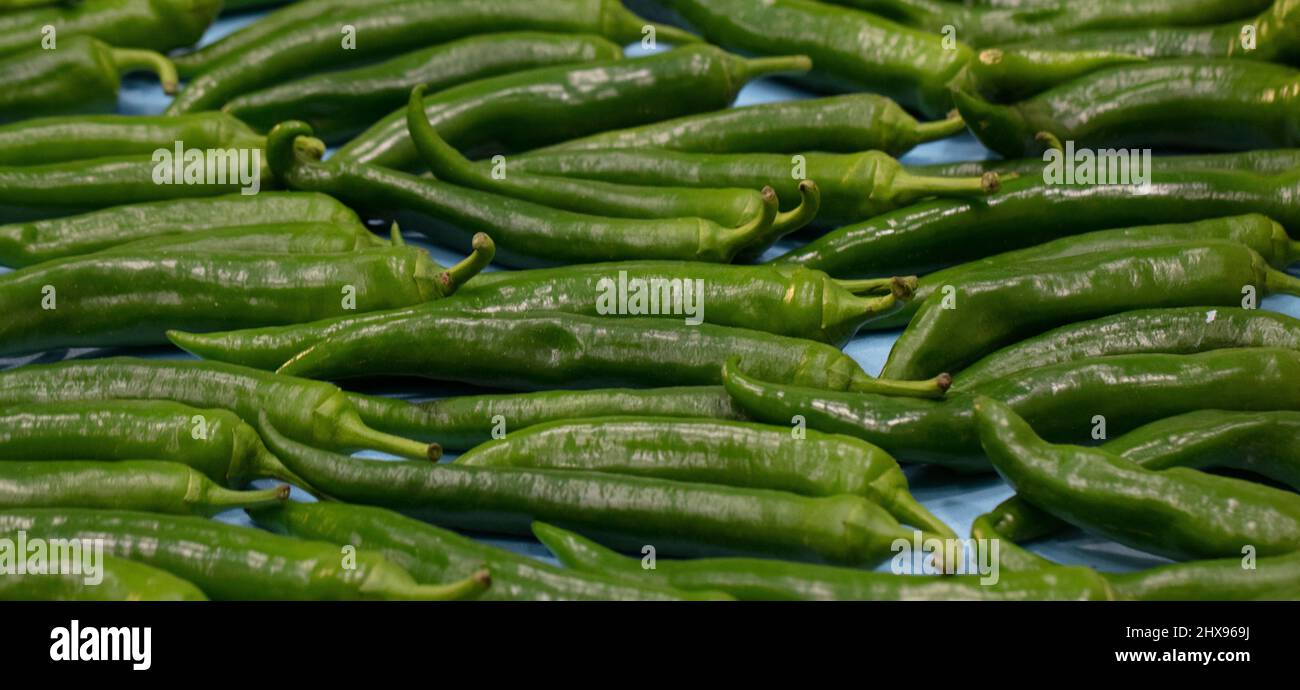 fresh vegetables from Qatar farms Stock Photo Alamy