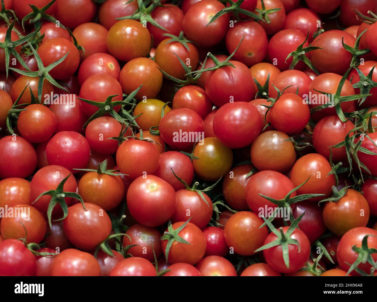 fresh vegetables from Qatar farms Stock Photo Alamy