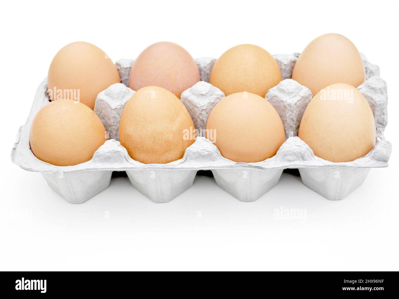 Farm Fresh Brown Eggs in an Egg Carton Stock Photo