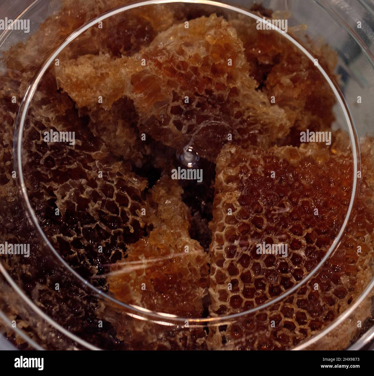 honey from Qatar farms Stock Photo Alamy