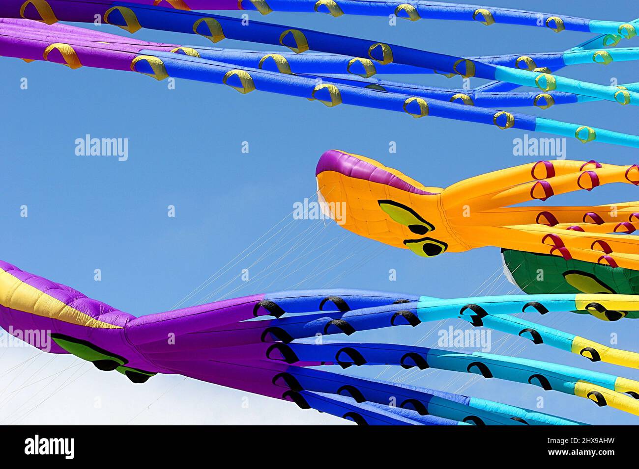 Airborne Colorful Kites with Long Appendages During Berkeley, CA Kite Festival Stock Photo