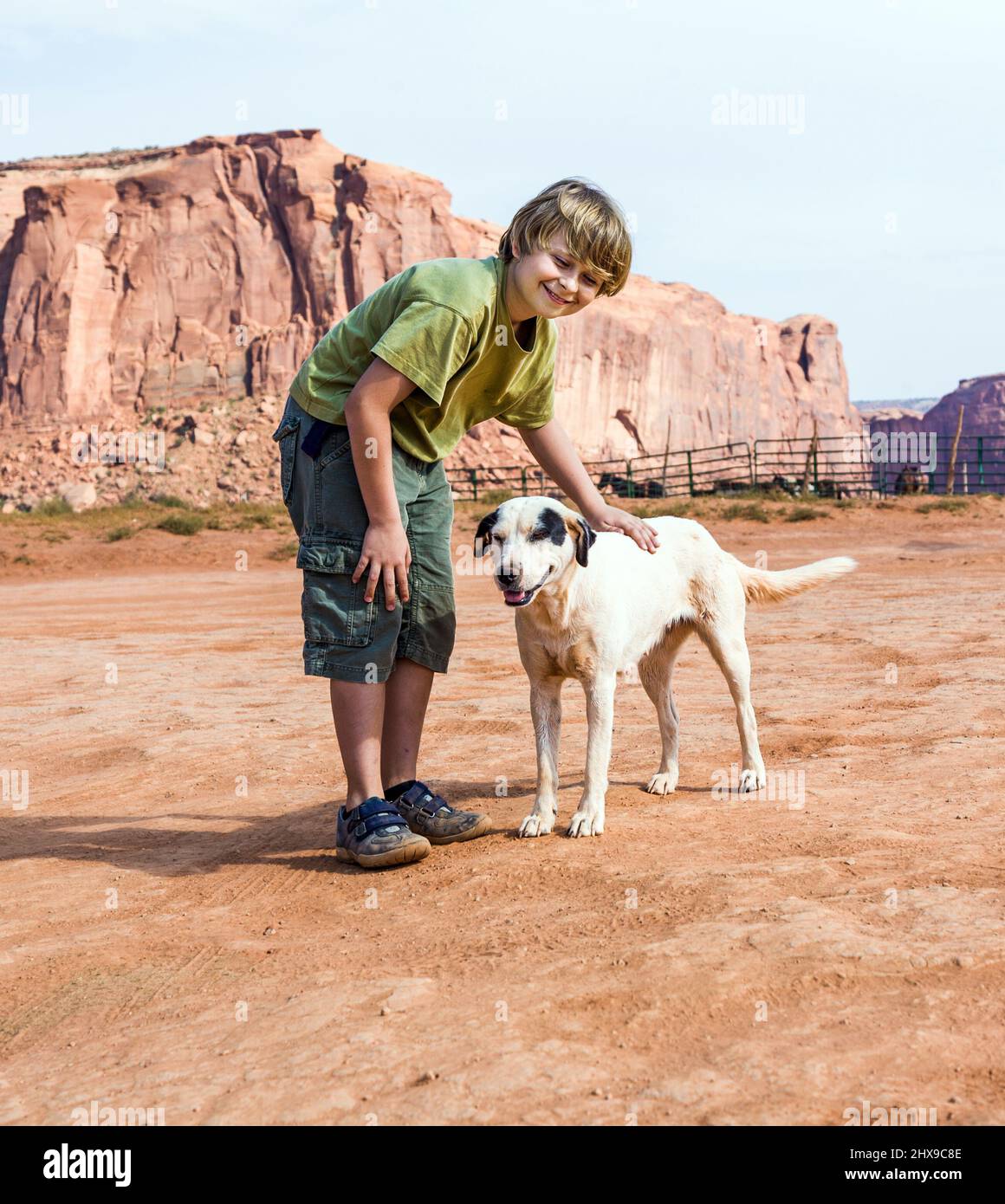 cute dog loves to be hugged by tourist Stock Photo