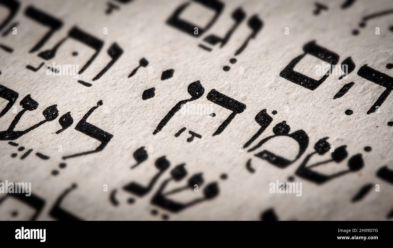 Hebrew word in Torah page. English translation is name Dan, the founder