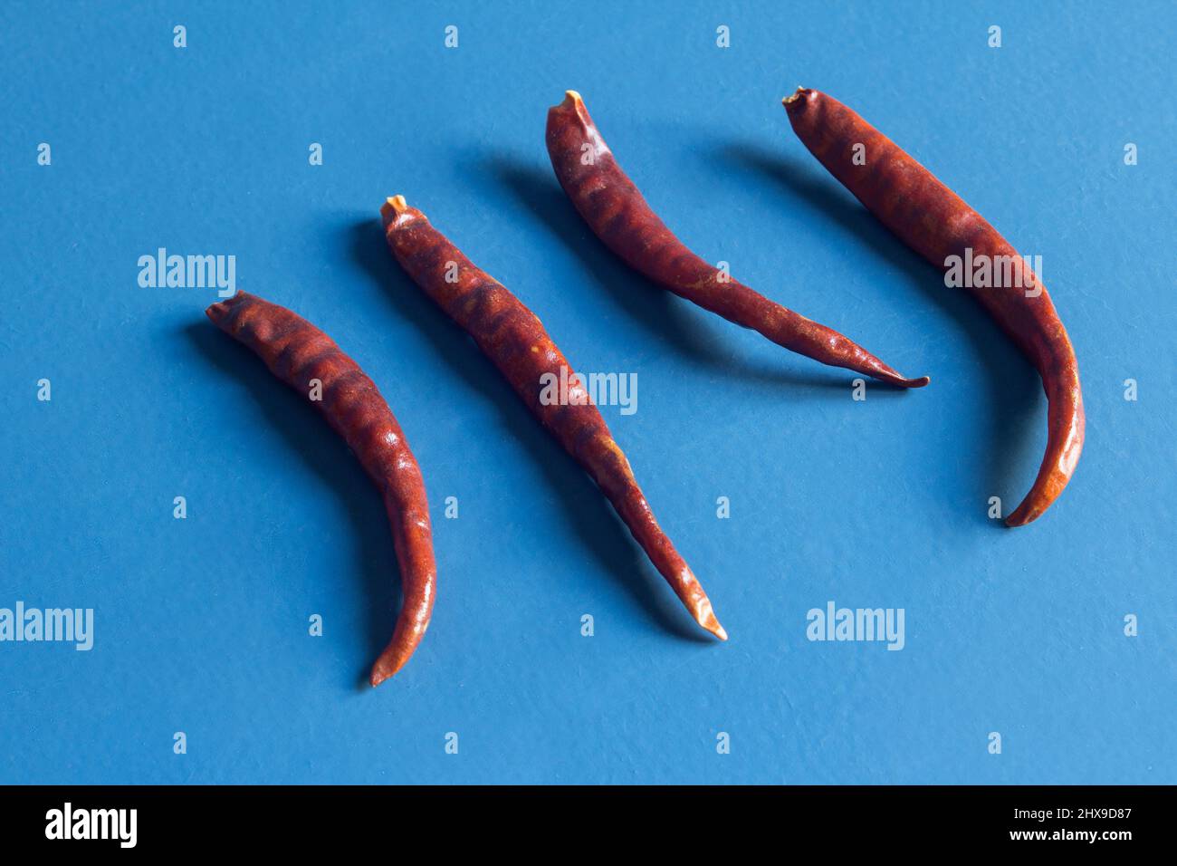 Dried and dehydrated chilies peppers in a row on a blue painted wooden studio background. Food and vegetables. Stock Photo