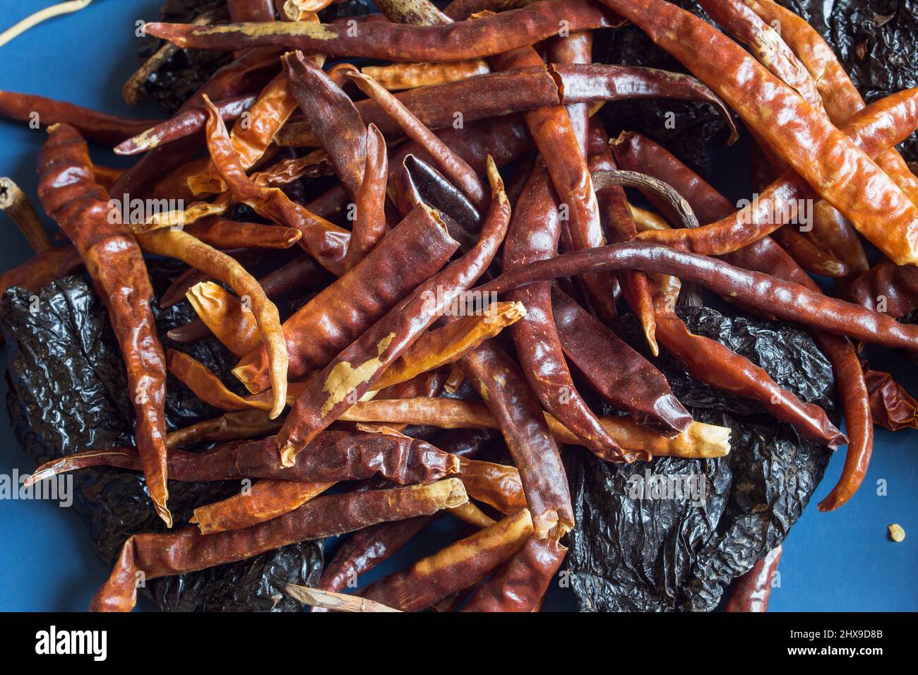 A pile of dehydrated chili peppers with dried ñoras peppers on a textured blue studio background. Stock Photo