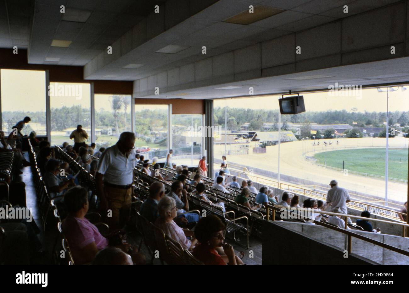 Fans in the stands watching a dog race at a track in NaplesFt. Myers