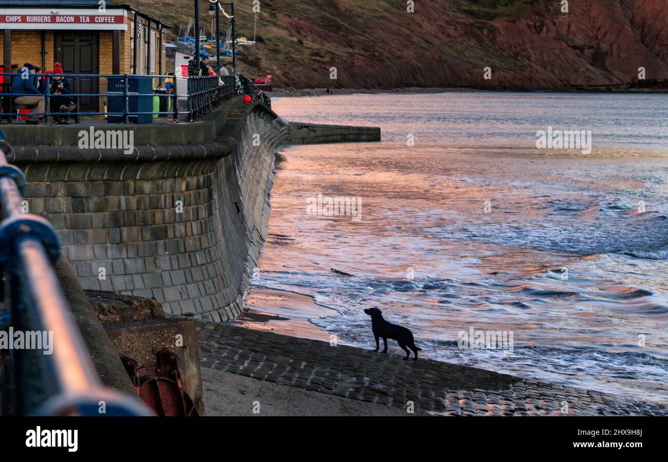 Filey is a seaside town in North Yorkshire, England Stock Photo Alamy