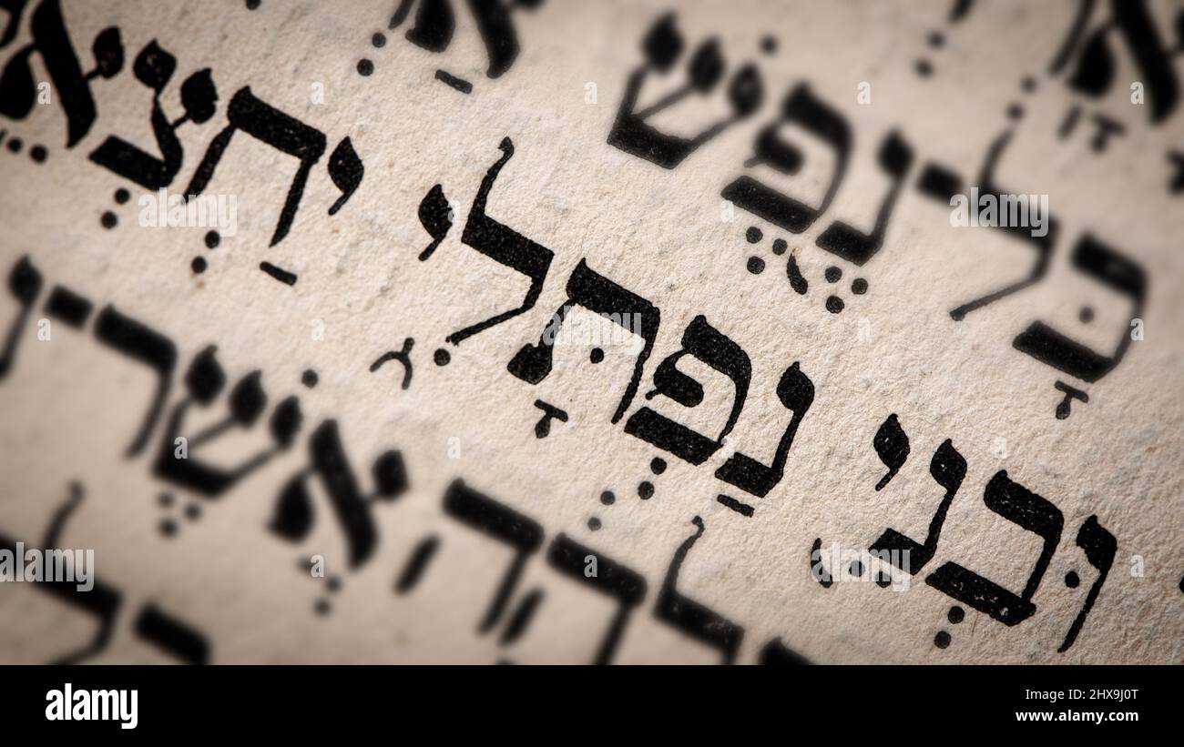 Torah Scroll Fragment on Vellum, circa 17th Century, from … | Flickr