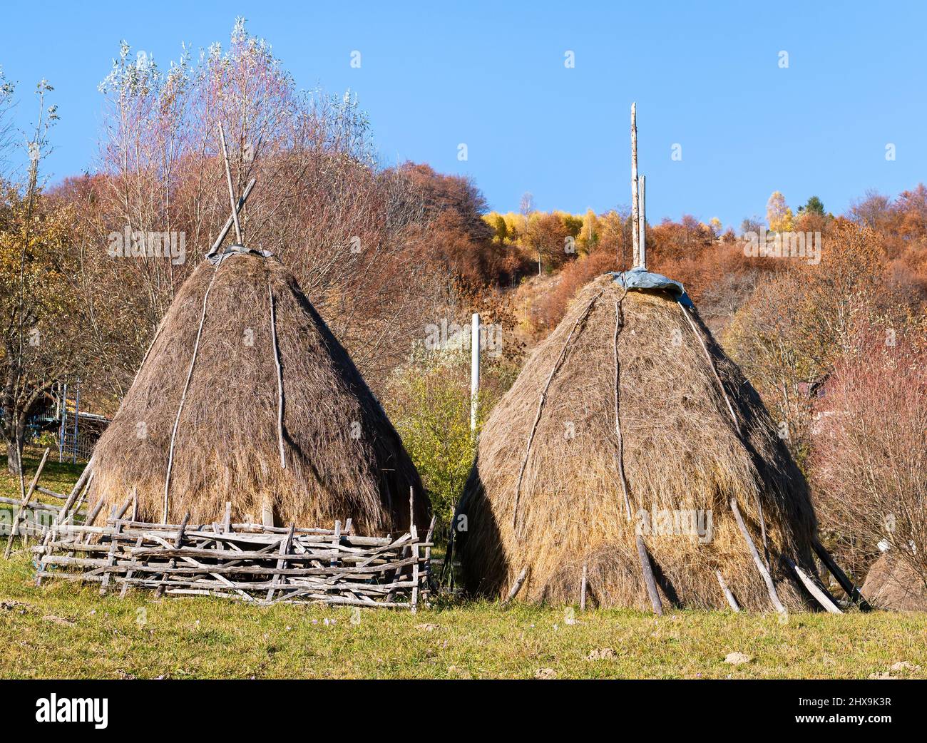 Rustic rural landscape in a romanan village with a haystack on the ...