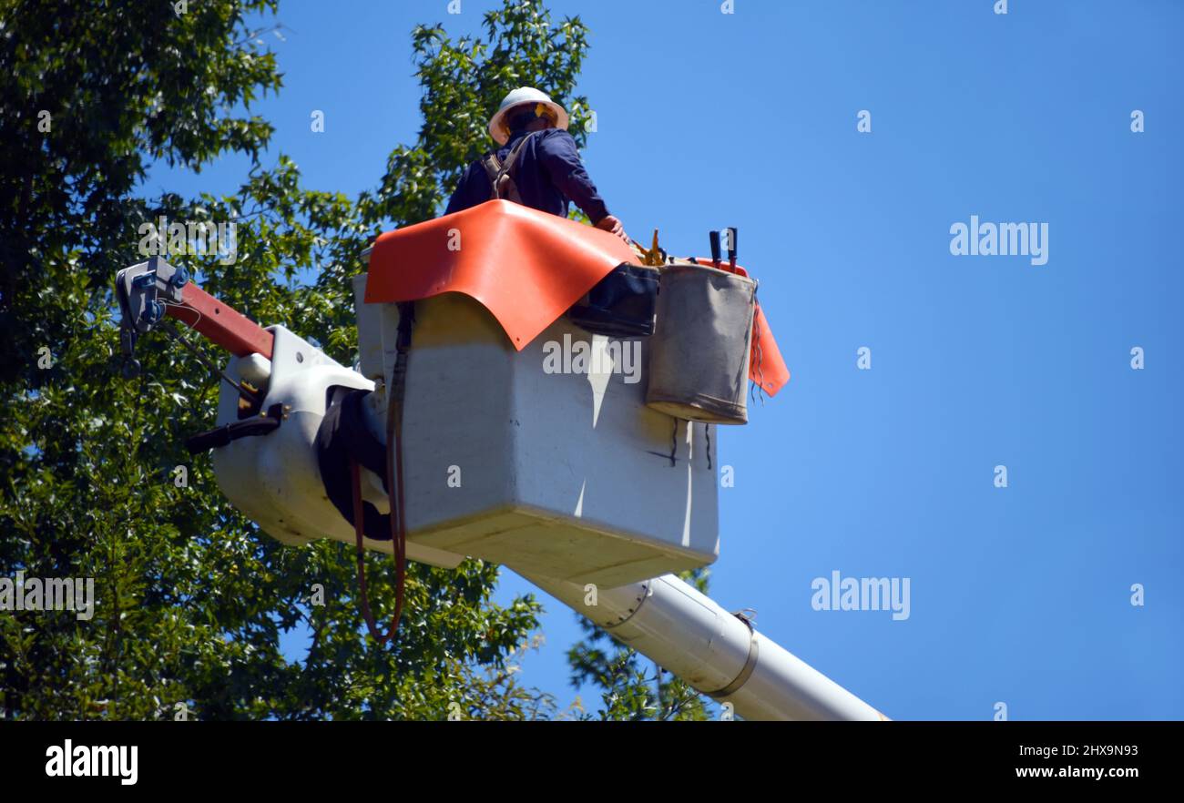 Worker is lifted in bucket to work on telephone lines. He is wearing