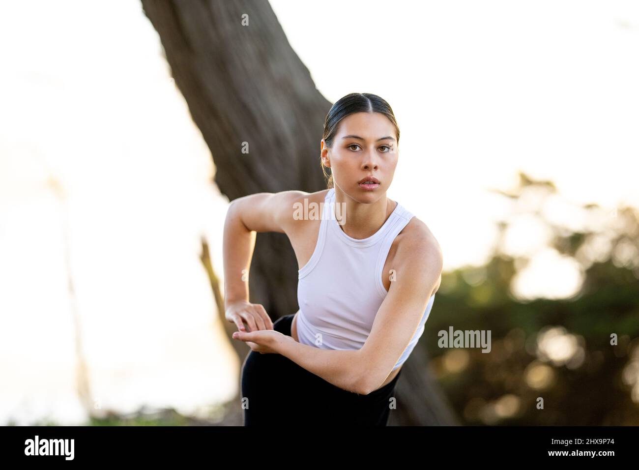 Young Multiracial Female Dancer In Grove of Cypress Trees Stock Photo