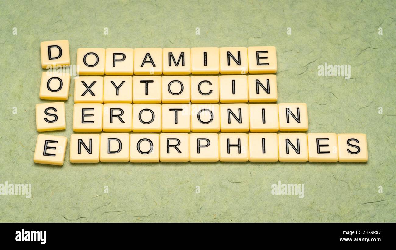 DOSE dopamine, oxytocin, serotonin and endorphins, happiness brain