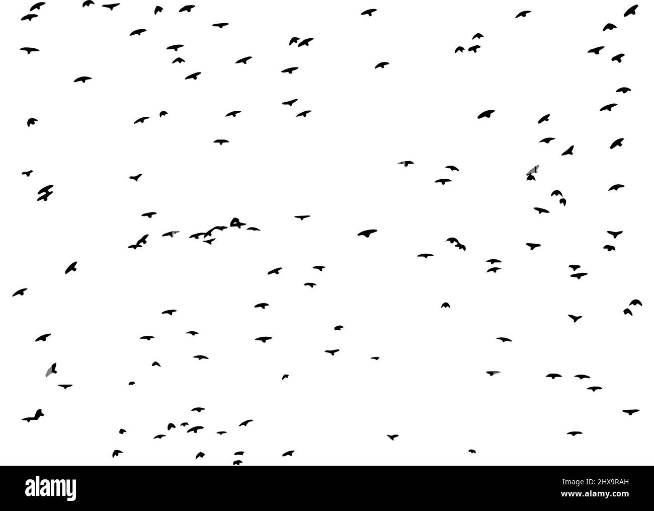 A flock of flying birds. Free birds. Vector illustration Stock Vector