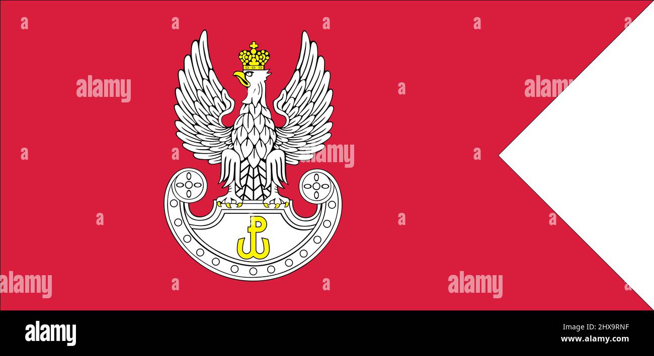 The Rnf Flags Top view of flag territorial defence force, Poland. Polish travel and ...