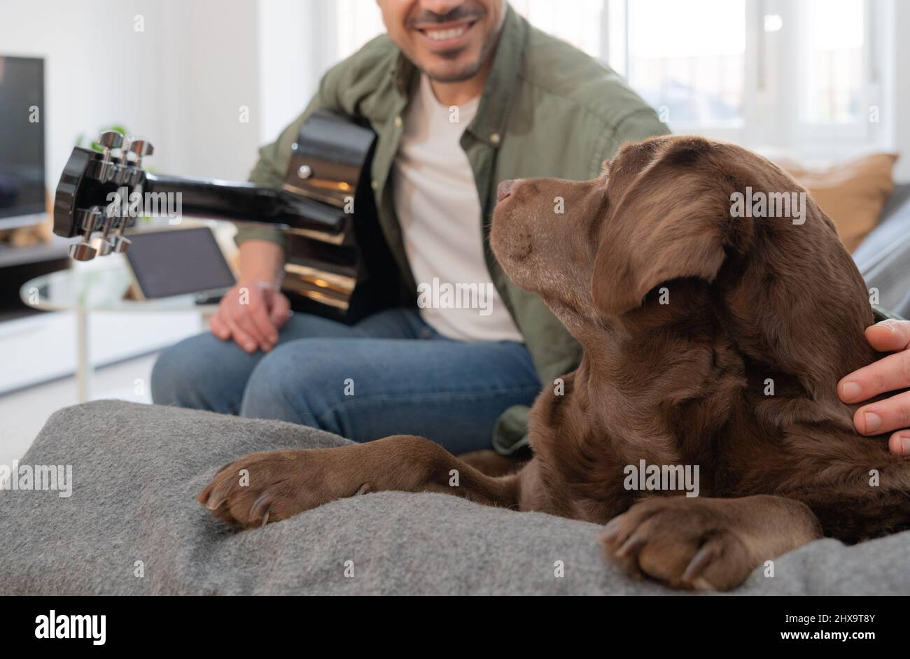 portrait of a smiling unrecognizable young man caressing his dog while playing the guitar in the living room. stock photography Stock Photo