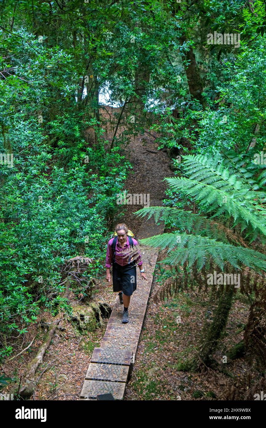 Corinna hires stock photography and images Alamy