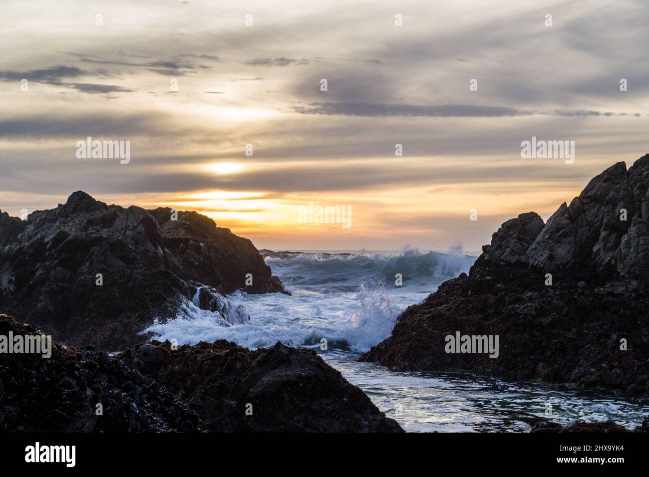 Beautiful Sunset & Crashing Waves in Bodega Bay, California Stock Photo