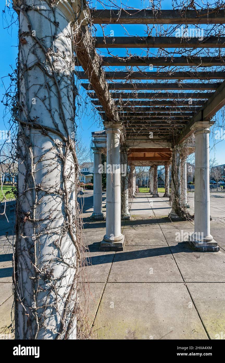 Central Park with classical gazebo in Hillsboro, Oregon Stock Photo Alamy