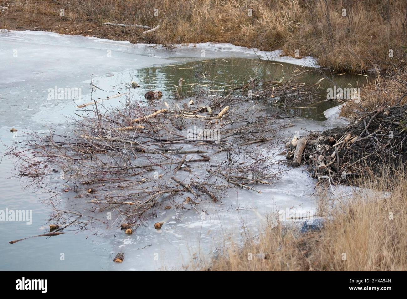 Stored caches hires stock photography and images Alamy