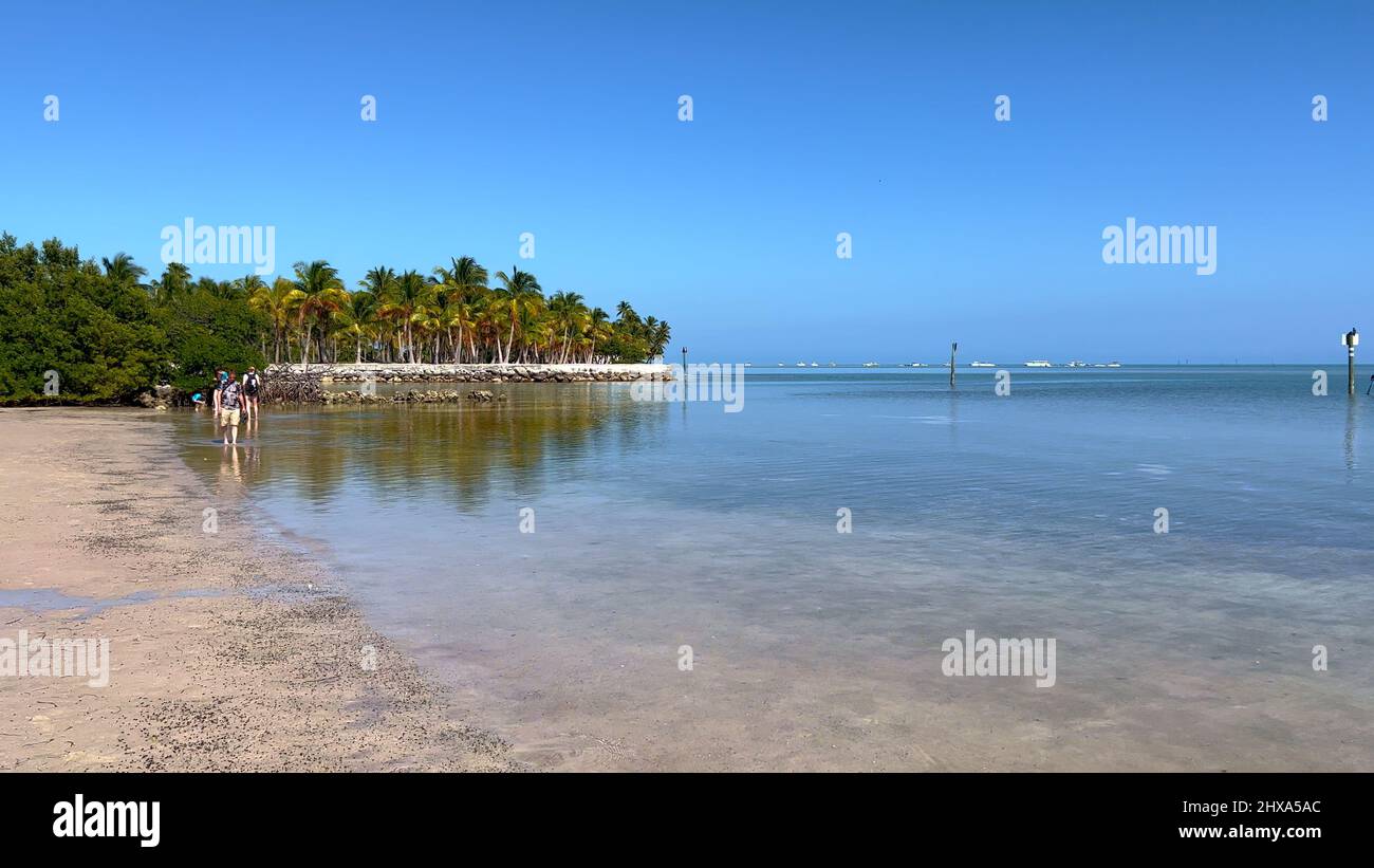 Beach of Curry Hammocks State Park on the Florida Keys ISLAMORADA