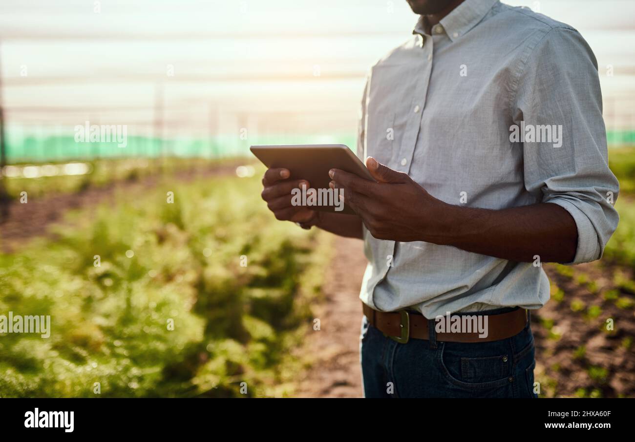 Living green with the help of technology. Cropped shot of an unrecognizable male farmer using a tablet while working on his farm. Stock Photo