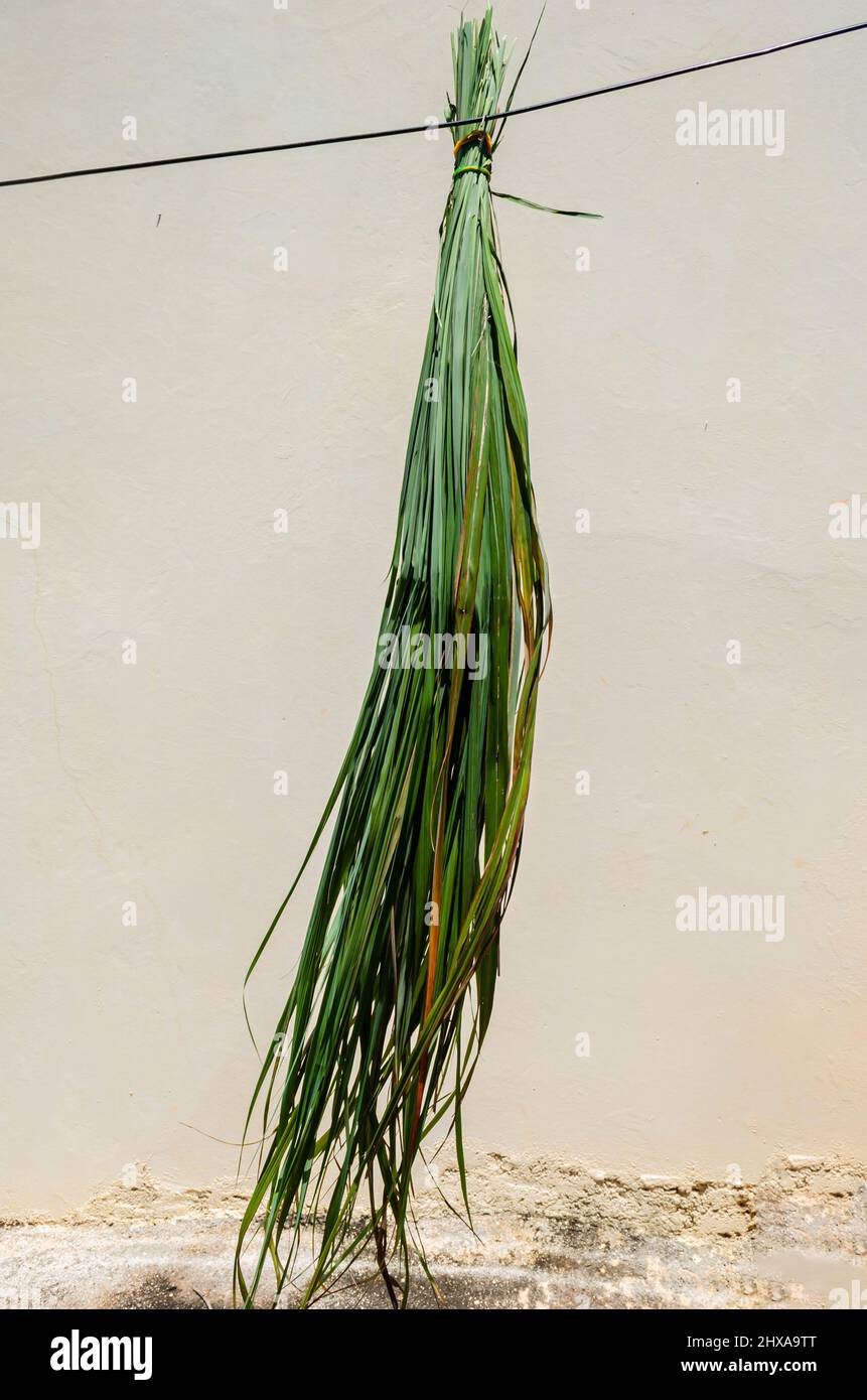 Lemongrass Hang To Dry Stock Photo