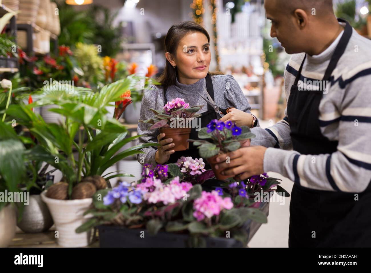 Flower shop employees take care of flowers together Stock Photo Alamy