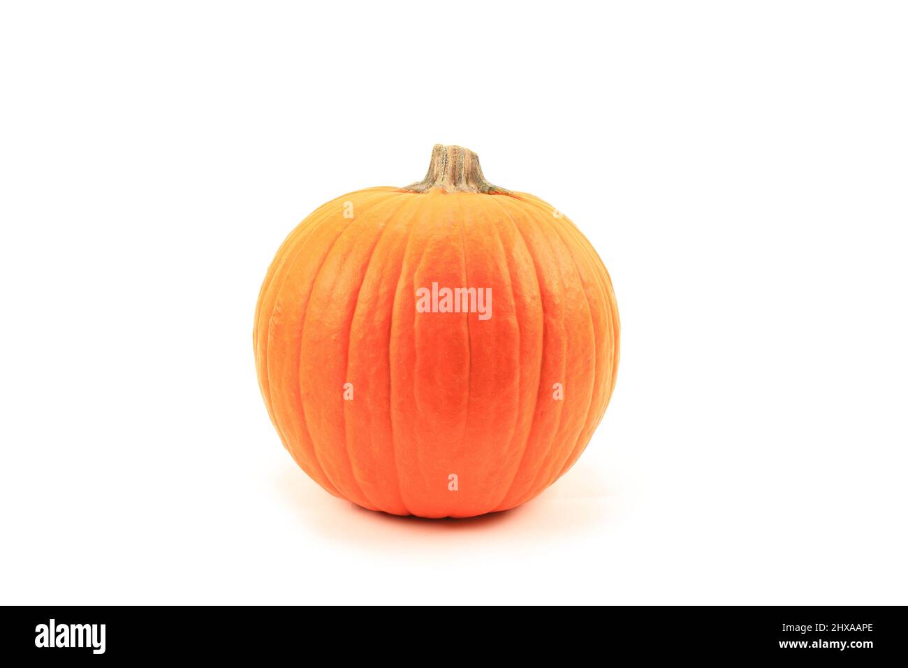 Orange Pumpkin isolated on white background Stock Photo - Alamy
