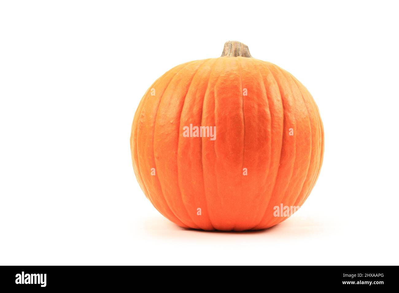Orange Pumpkin isolated on white background Stock Photo - Alamy