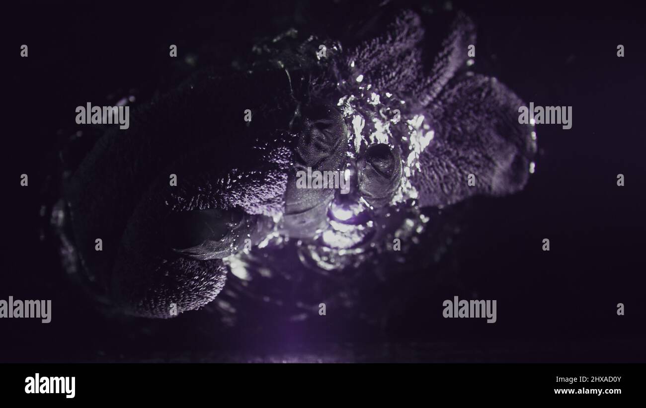 A professional dry microfiber rag for washing a car is dipped in water