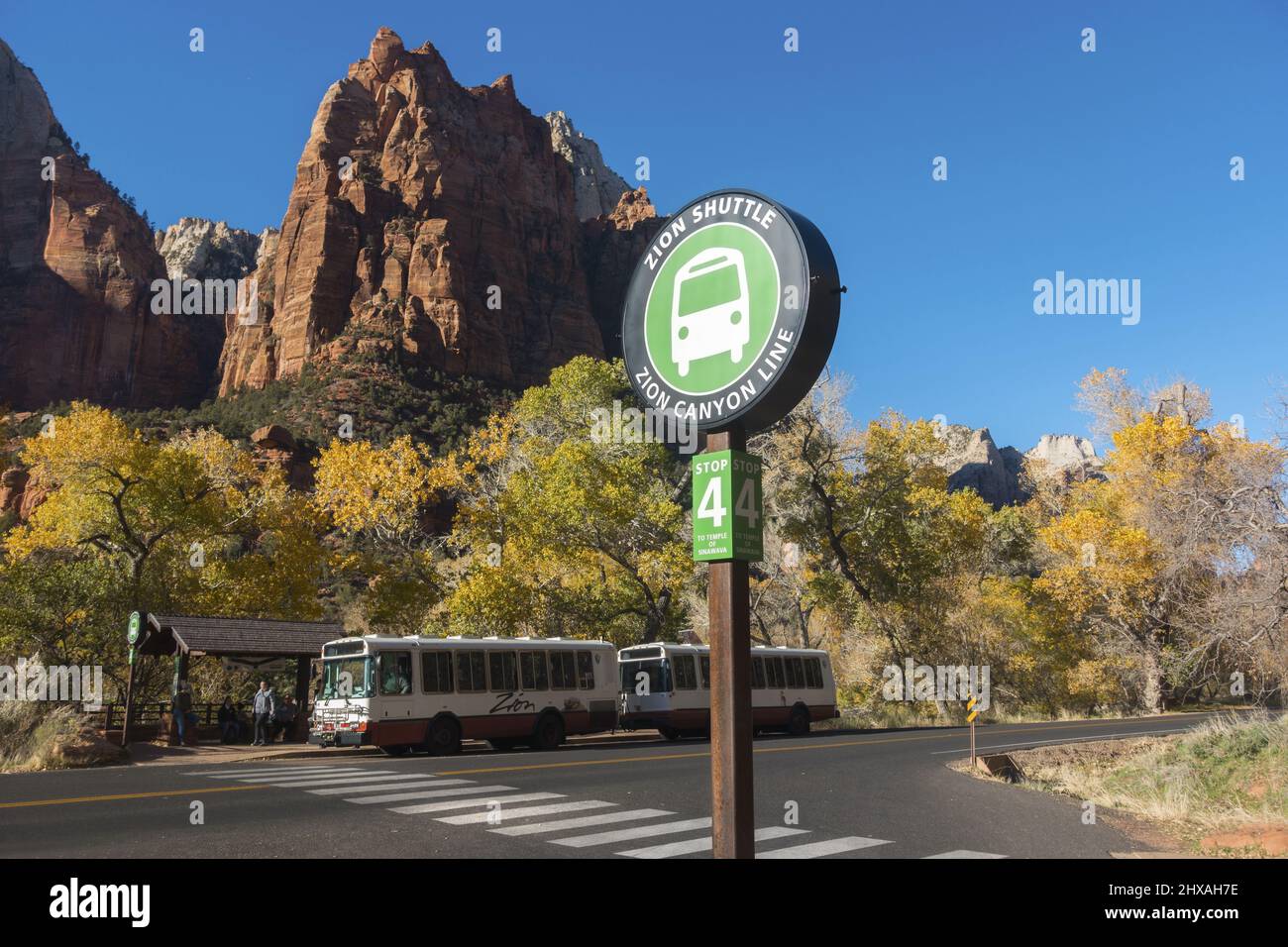 Canyon Line Station Stop Sign with Parked Shuttle Bus Vehicles and Red Rock Cliffs in Background.  Sunny Autumn Day in Zion National Park, Utah USA Stock Photo