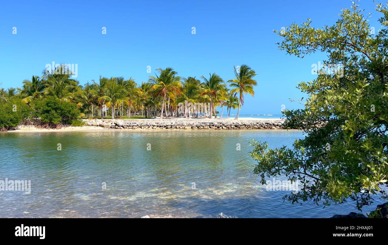 Beach of Curry Hammocks State Park on the Florida Keys ISLAMORADA