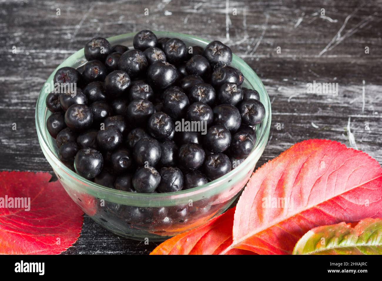 Close up chokeberries in glass bowl on the black background Stock Photo
