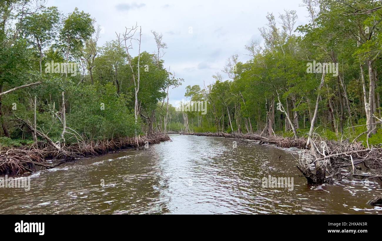 everglades city airboat tours everglades city fl
