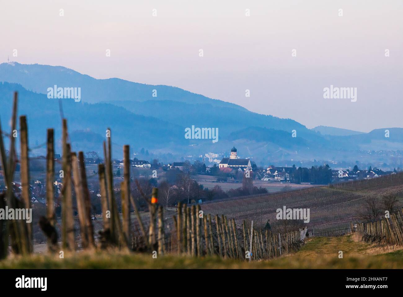 Freiburg Im Breisgau, Germany. 11th Mar, 2022. A church in the municipality of Ehrenkirchen stands out from the landscape while grapevines can be seen in the foreground. Credit: Philipp von Ditfurth/dpa/Alamy Live News Stock Photo
