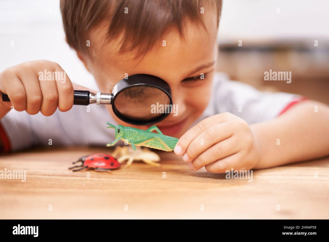 Inspecting some curious creatures. Shot of a young boy inspecting his toys with a magnifying glass. Stock Photo