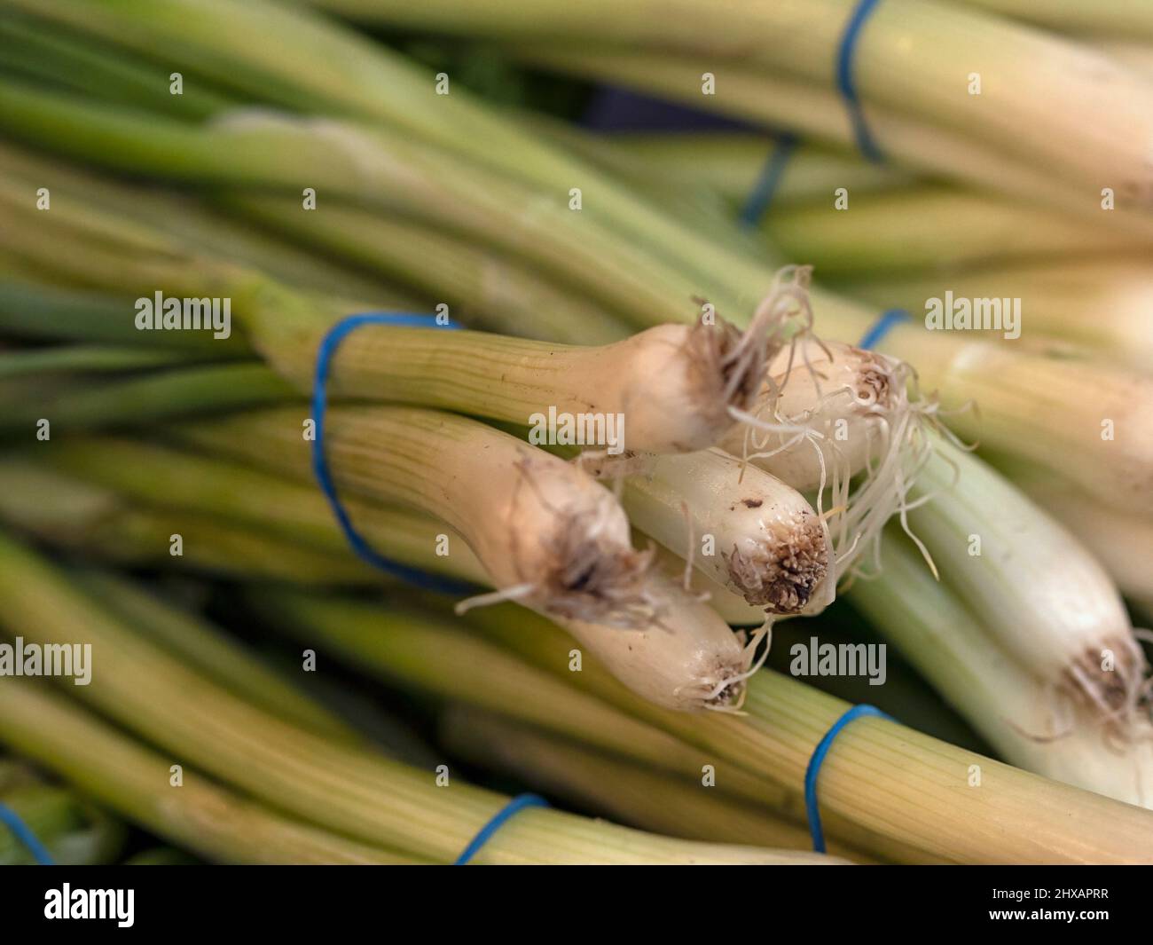 Closeup of bunches of Spring Onions at a farmers market Stock Photo - Alamy