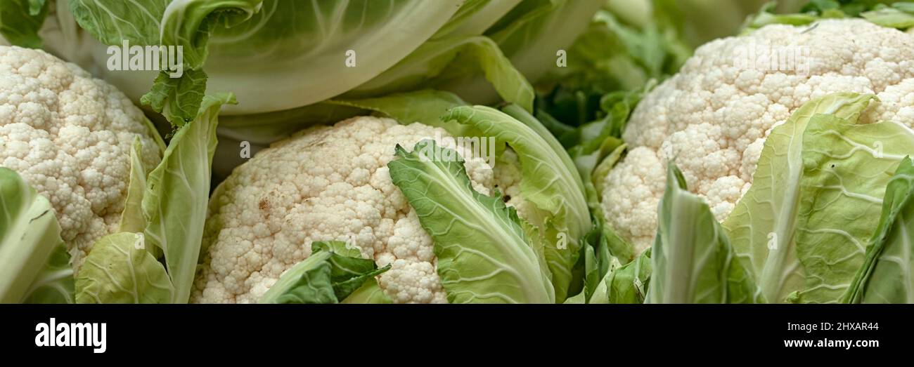 Panorama of heads of Cauliflower at a farmers market Stock Photo Alamy