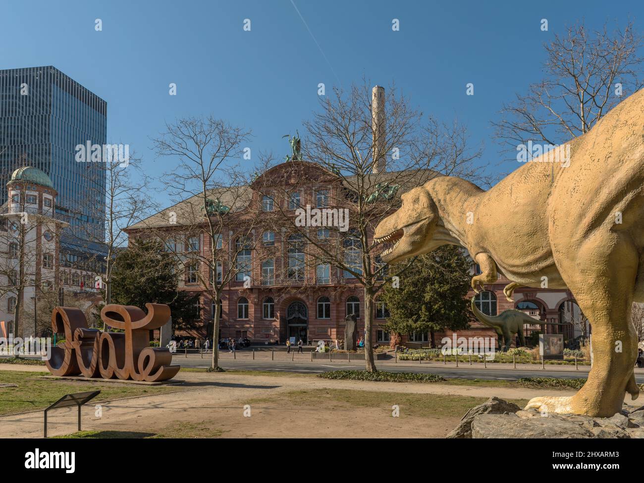 Museum of Natural History Senckenberg Frankfurt, Hesse, Germany Stock Photo Alamy
