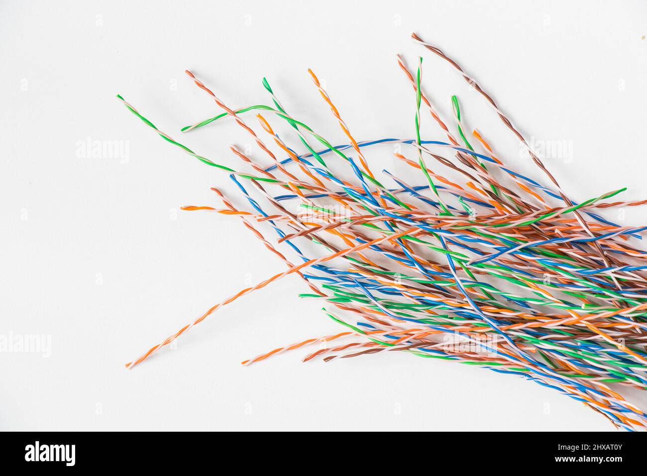 Internet cable on the white background, high angle view Stock Photo