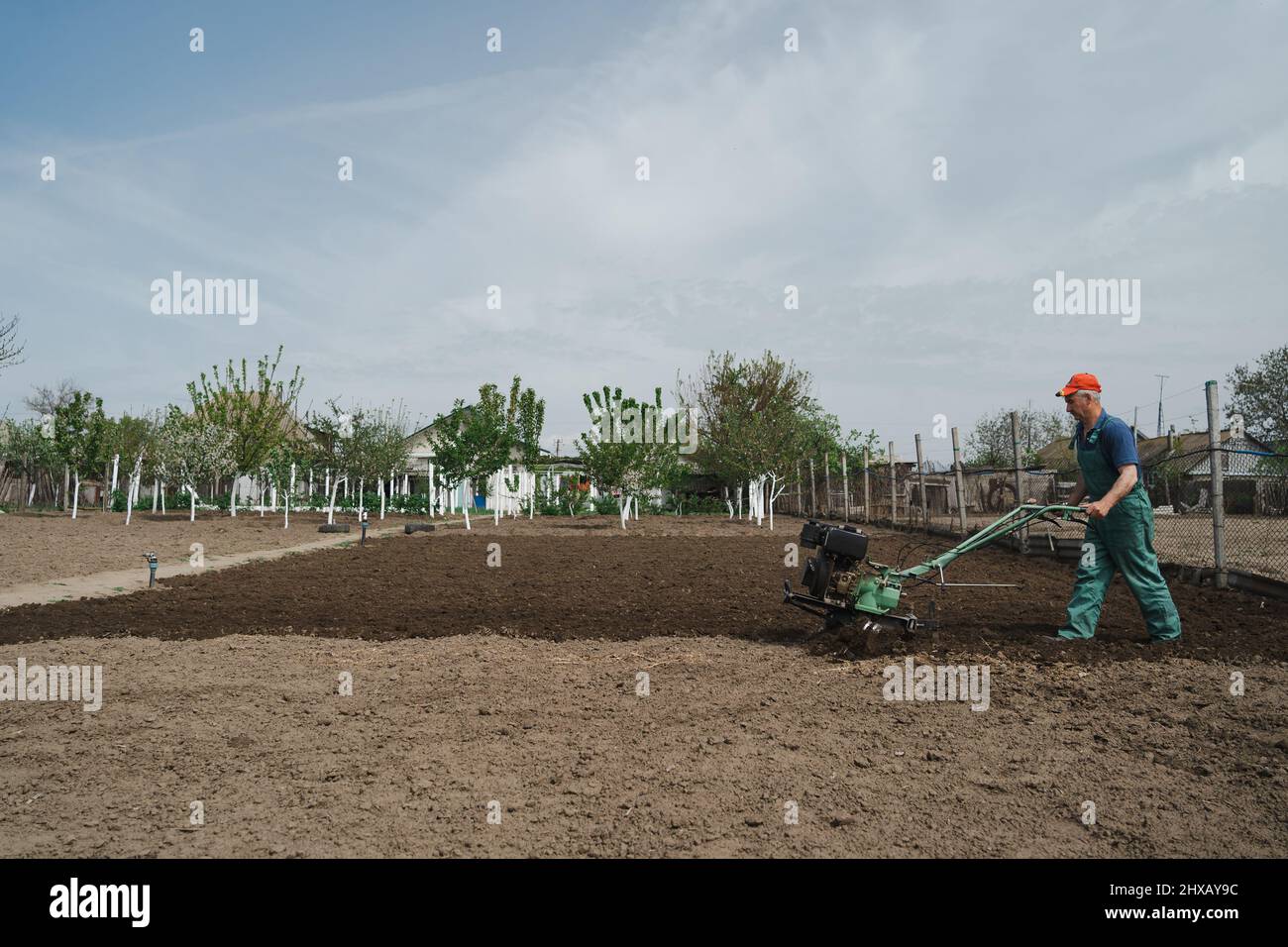 Modern farming, technology agriculture. Gardener man cultivate ground soil with tiller tractor or rototiller, cutivator, miiling machine, prepare for planting crop in spring. Stock Photo